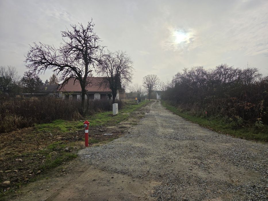 BUKOWICE Wołów Brzeg Dolny Wroclaw