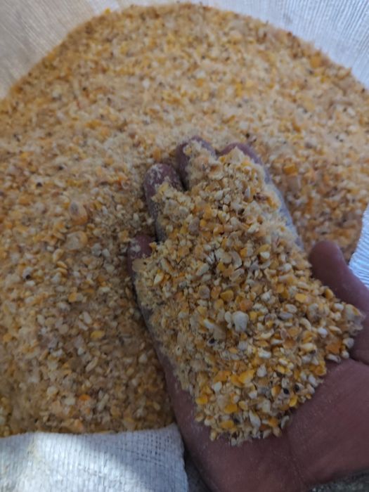 Kukurydza zmielona  25 kg