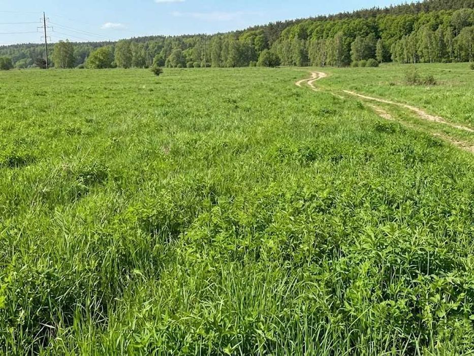 Продаж земельної ділянки 1,5982 га у Мироцькому !