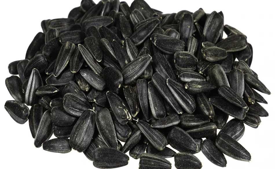 ** Słonecznik Czarny ** dla Ptaków 10 kg !!!  → → ZWIERZOGRÓD← ←