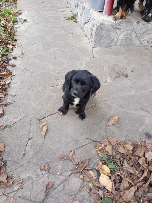 Дівчинка красуня три місяці