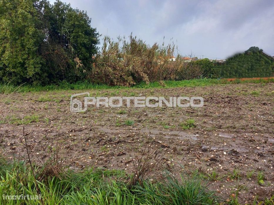 Terreno Urbanizável - Requeixo