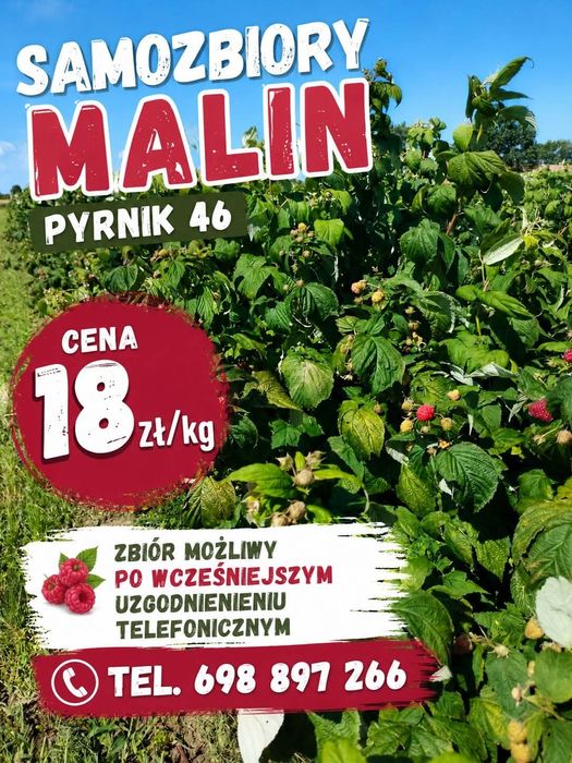 Samozbiory malin