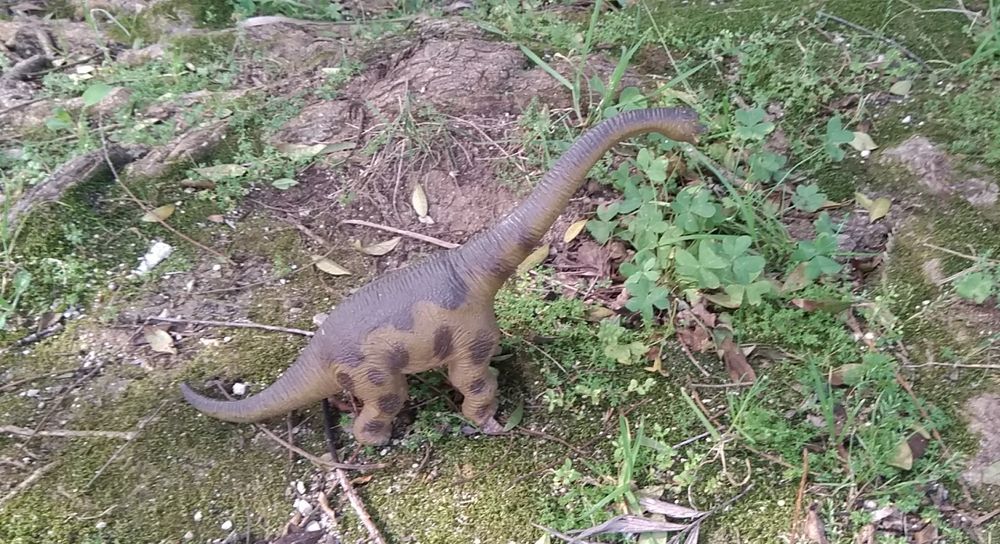 Dinosaurs, Replicas 264286585461506123