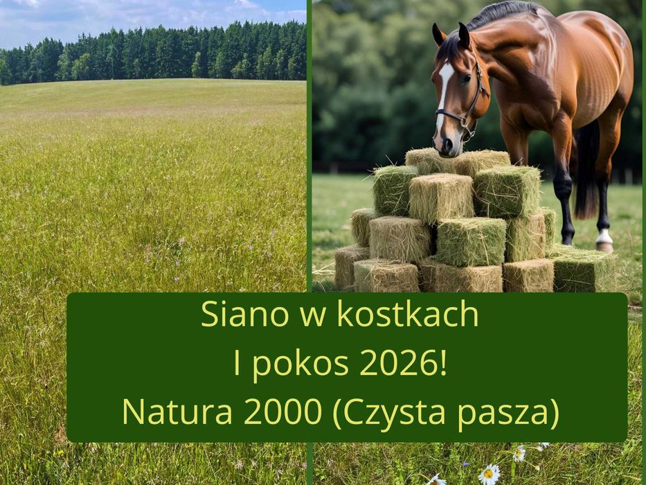 ekologiczne siano w kostkach , 2026