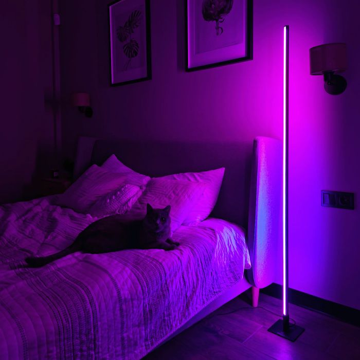 INTELLECT Light Square Large