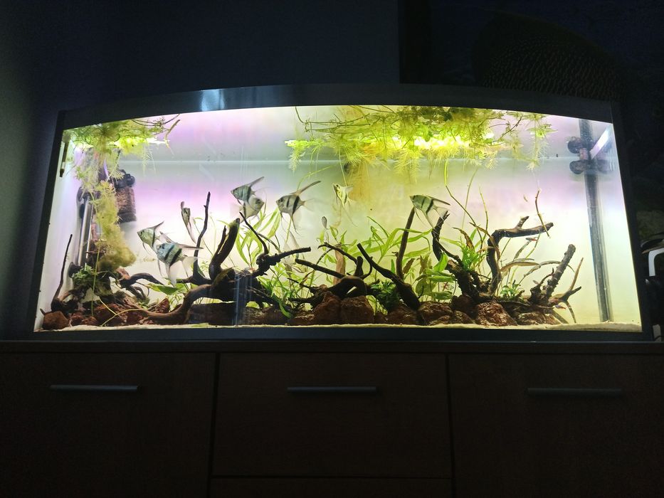 Akwarium 200L z pokrywą, 120cm dlugości