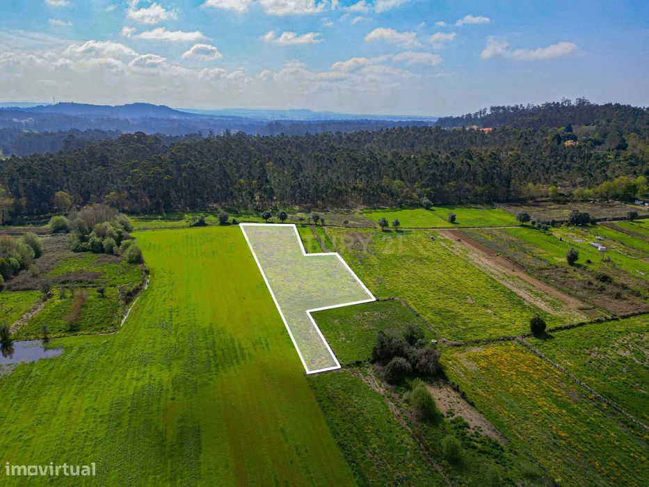 Terreno Agrícola plano, com 4.900m², em Curvos