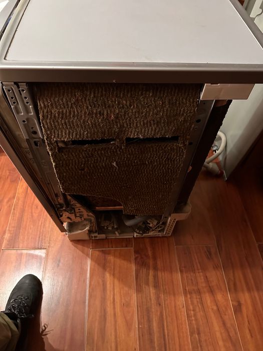 Zmywarka Electrolux ESF45030X uszkodzona