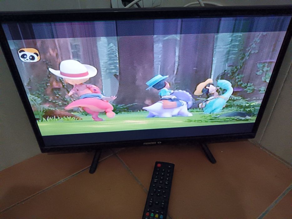 Televisão princess 24  polegadas - pequena avaria na imagem