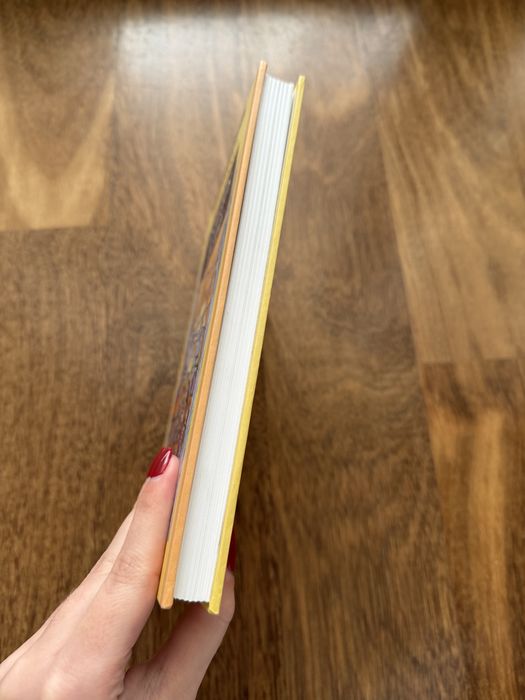 Livro “Os Filhos da Mãe” de Rita Ferro