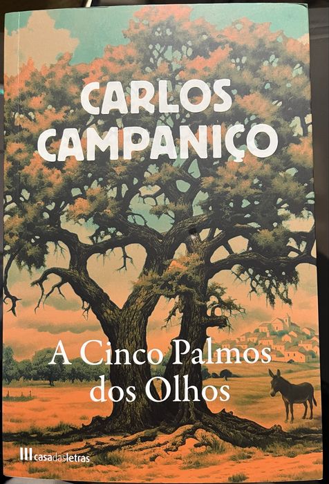 A Cinco Palmos dos Olhos