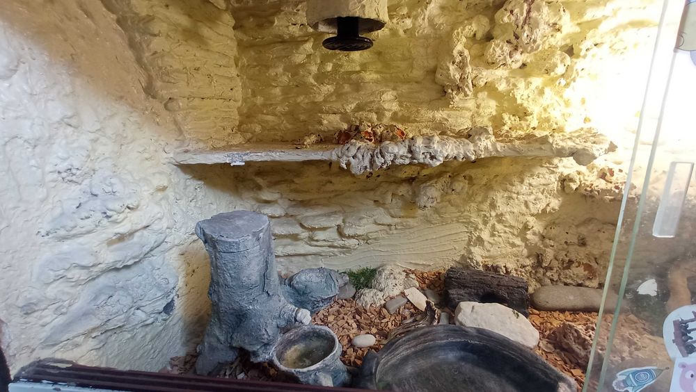 Terrarium pełne wyposażenie