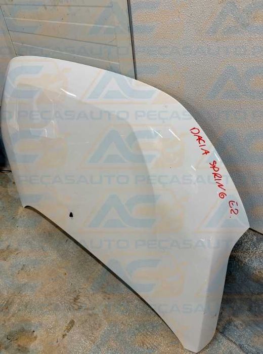 DACIA SPRING II Frente Completa
