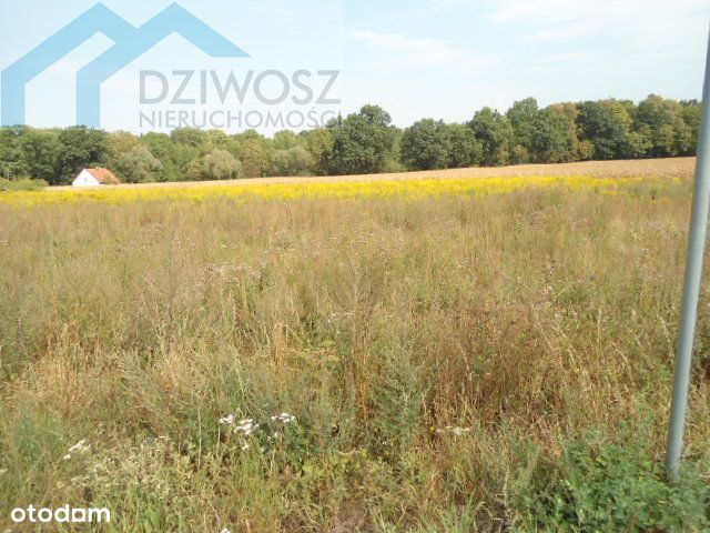 Działka budowlana tylko 6km od Sobótki