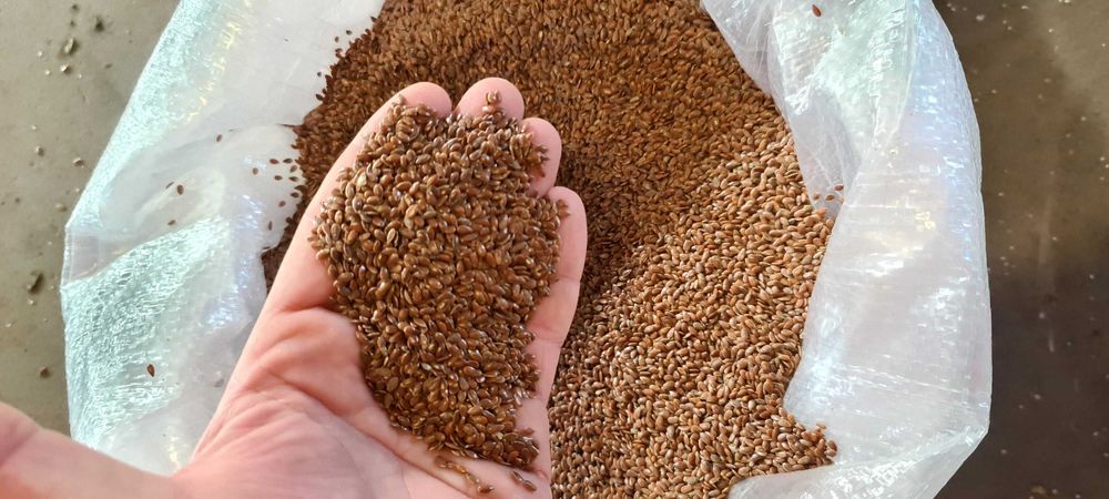 Siemię Lniane Brązowe Len czyszczony (czystość 99,8%)