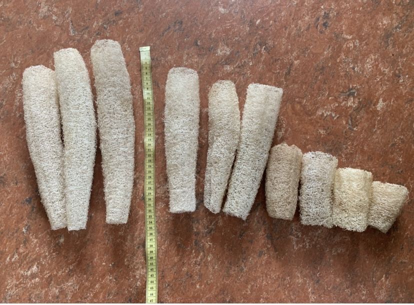 10 натуральних губок - люфа