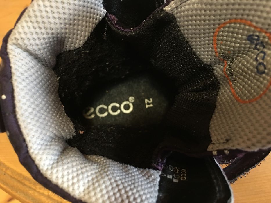 Термоботинки, сапожки ECCO 21 р.