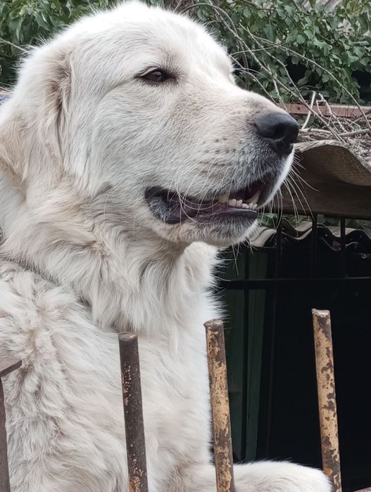 Кабель для вязки