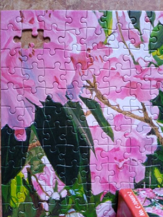 Puzzle Castorland 1000 elementów.