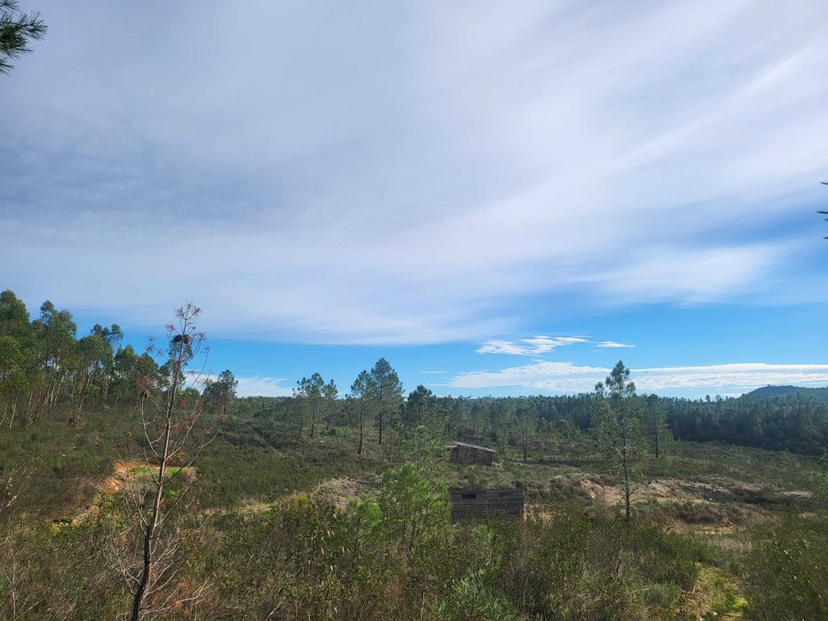 Refúgio Off-Grid 2.5ha com Ribeira e Autocaravana e solar