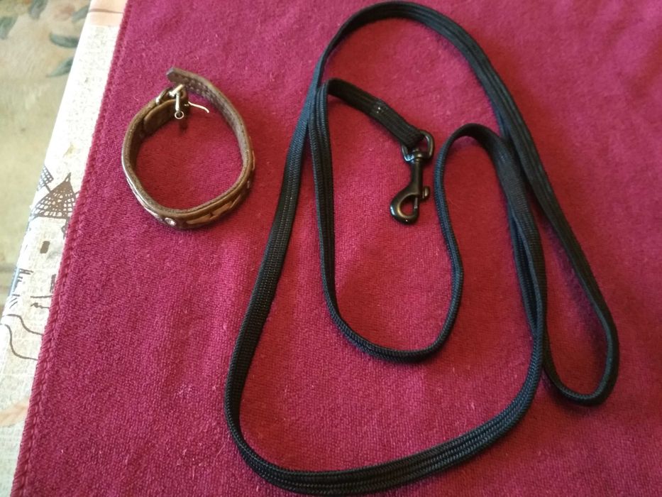Один Лот Поводок з резинкою125см.новий+Ошийник 25см. для собачок-котів