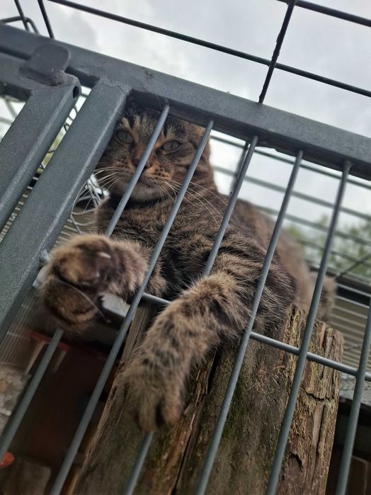 Cudny Argon z niecierpliwością wygląda nowego domu