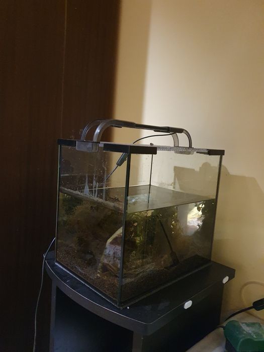 krewetkarium, akwarium 14L