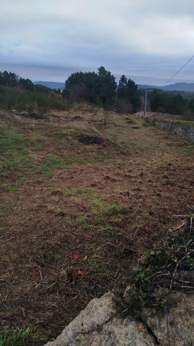 Quinta com 6 hectares