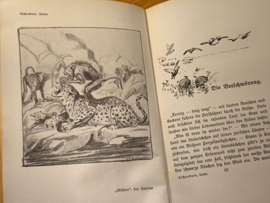 Satan und andere afrikanische Erzählungen