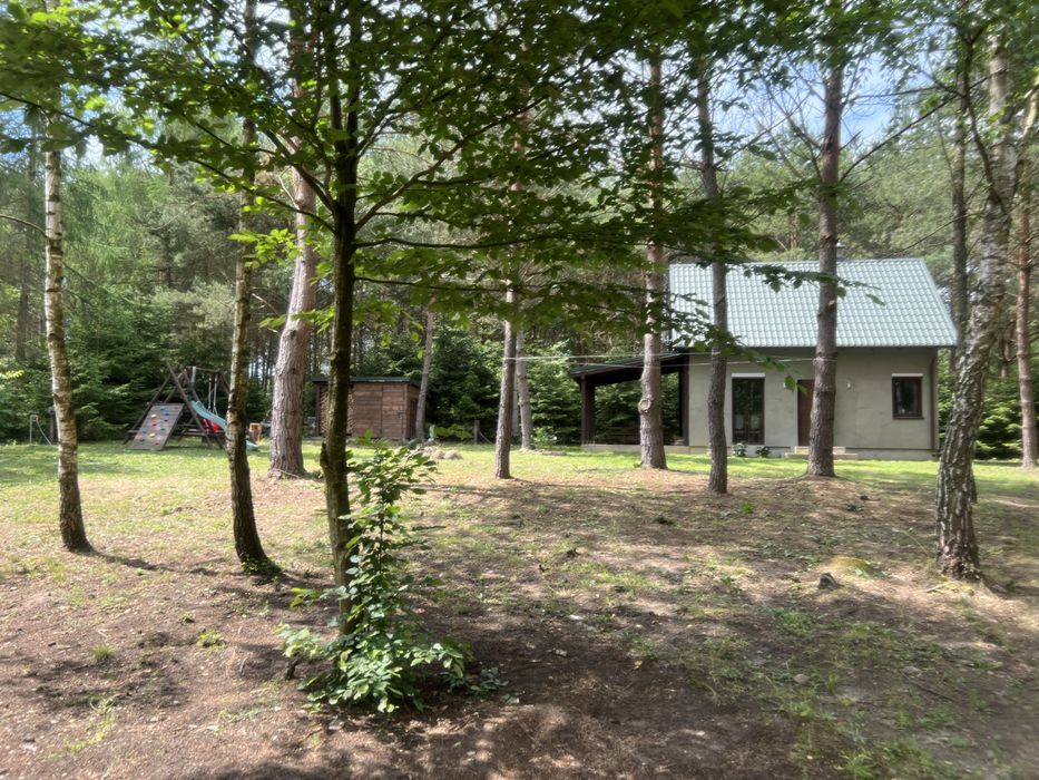 Całoroczny Domek w Borach Tucholskich z Balią Ogrodową!