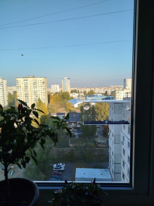 Годівничка для птахів на вікно