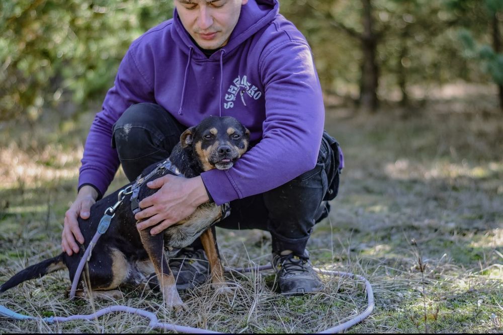 Dracula z nadzieją czeka na dom