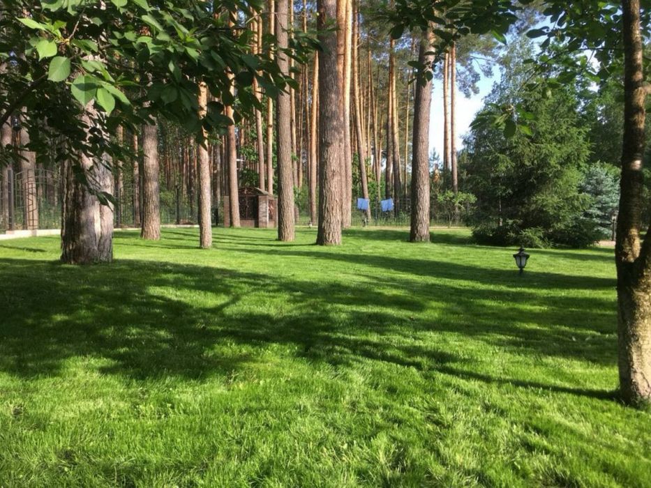 Газон, автополив, послуги по благоустрію