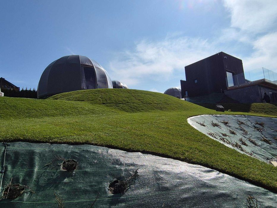 Trawa rozwijana z rolki