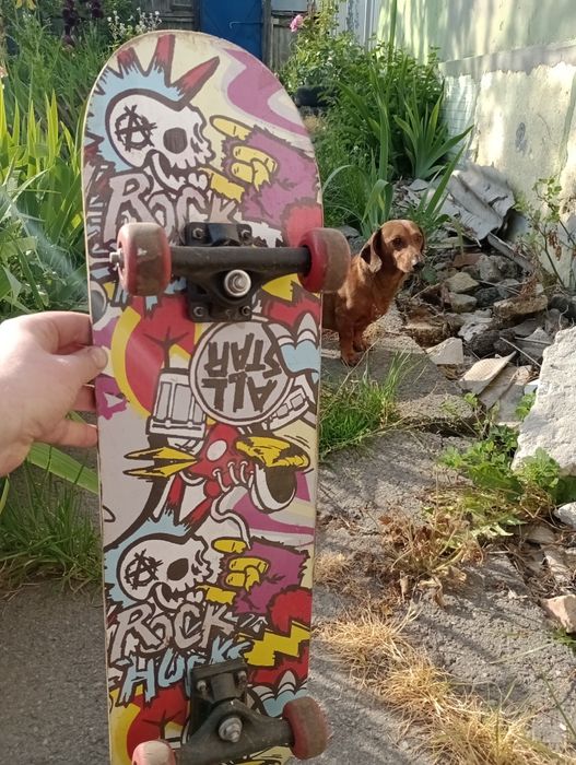 Скейт легкий, професійний, універсальний