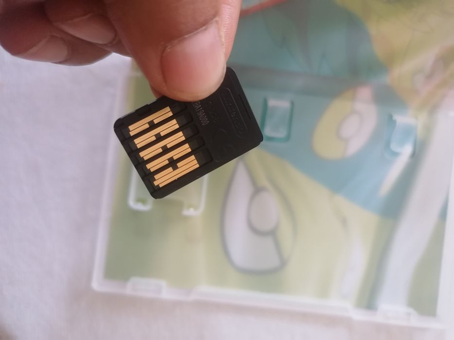 Pokemon Shield - switch