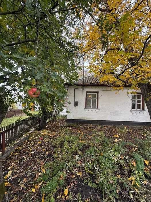 Продаж будинку | Дмитрушки