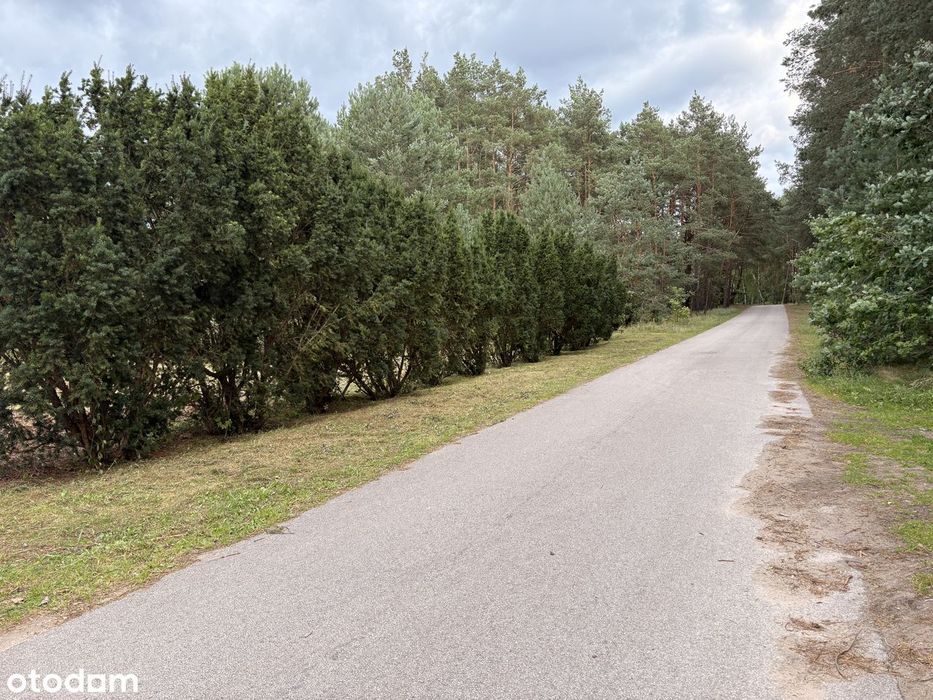 Piękna działka w super lokalizacji Długosiodło | Spokojna okolica - Widok 3
