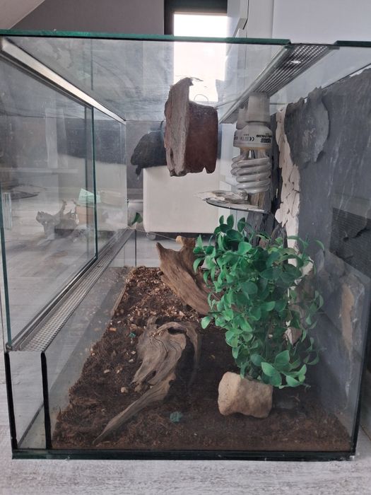 Sprzedam Terarium