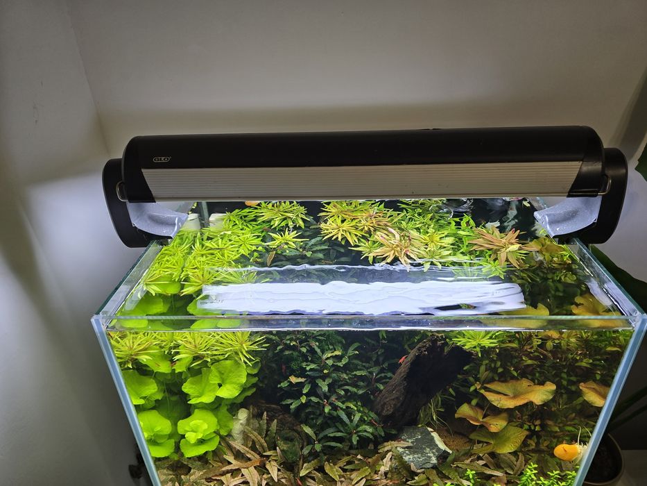 Belka oświetleniowa T5