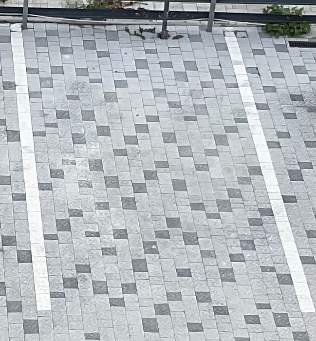 Місце  для парковки машини