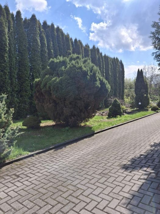 Продаж комерційного приміщення м.Кременець