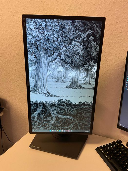 Монітор ASUS ROG PG248Q 144HZ