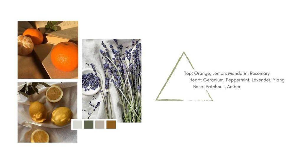 Vela aromática de 220g | 40h de queima | Feita à mão em Portugal