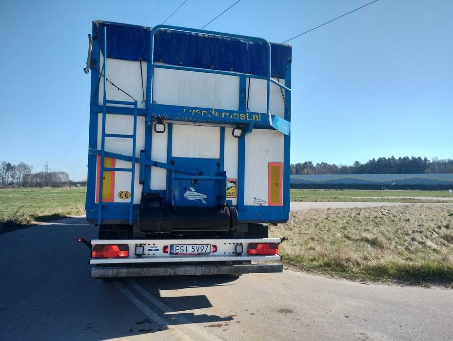 Naczepa pasówka taśmówka samowyładowcza