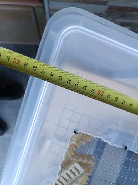 Terrário para hamster