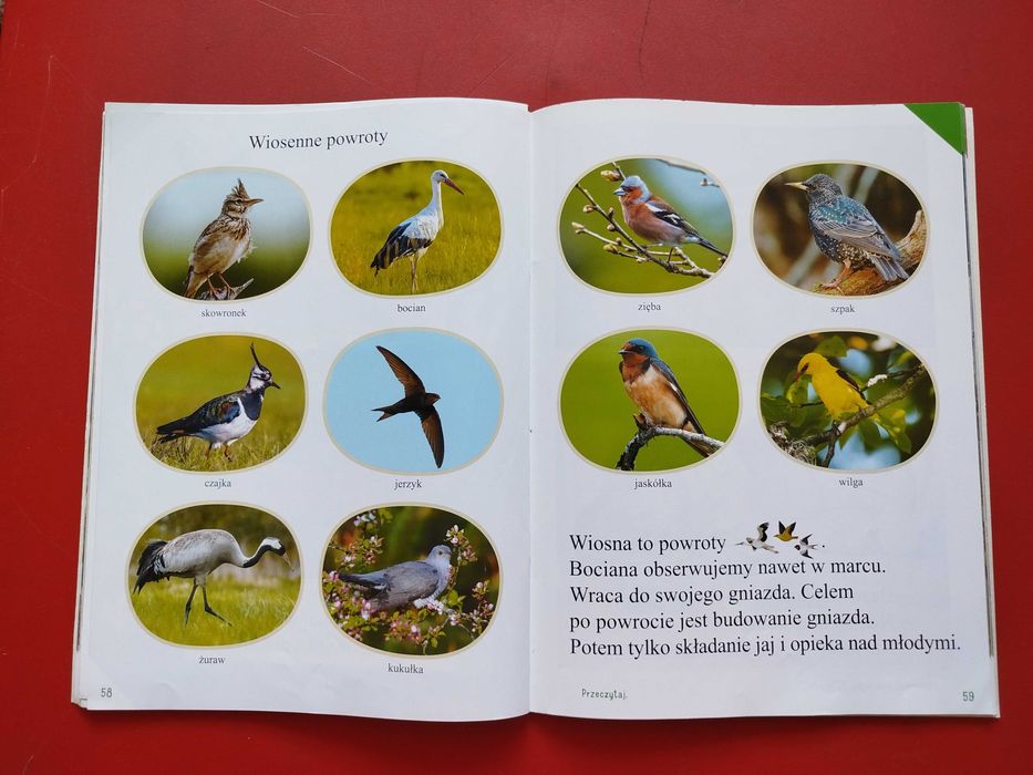 Olek i Ada na szlaku przygód, Mac Edukacja, Zaremba, Karaszewski