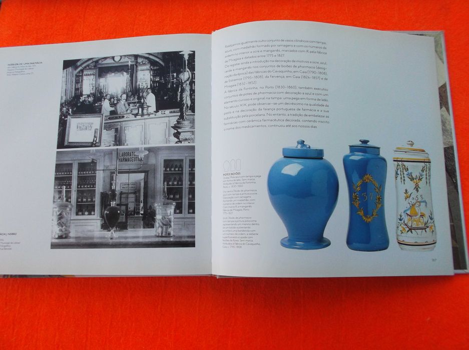 Cerâmica Farmacêutica  e a arte de curar -  Paula Basso