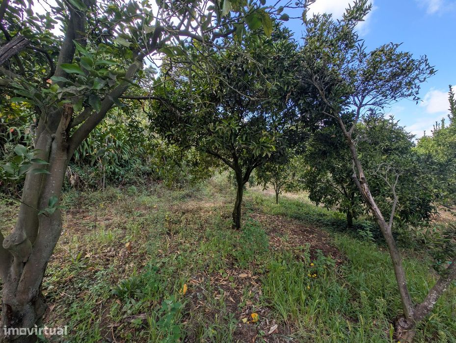 Terreno Misto em Vilaça – 1.100 m²